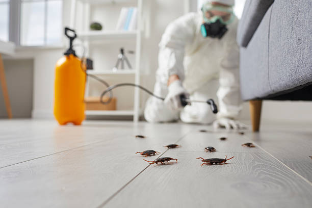 Affordable Cockroach Control solutions in Cloverdale, VA